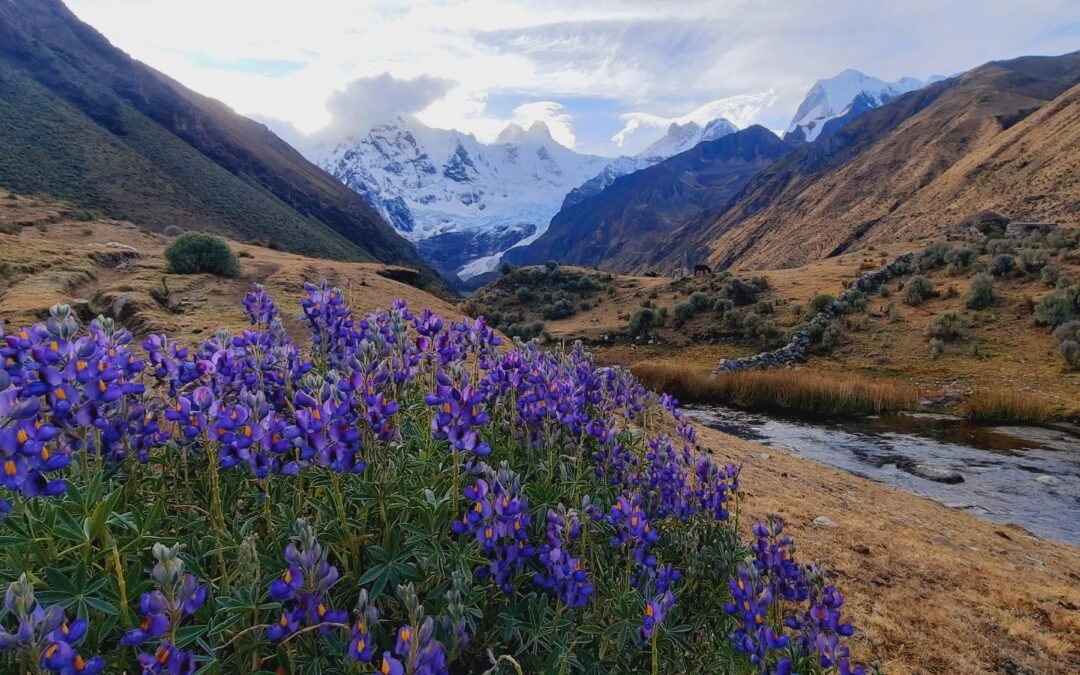 Huayhuash